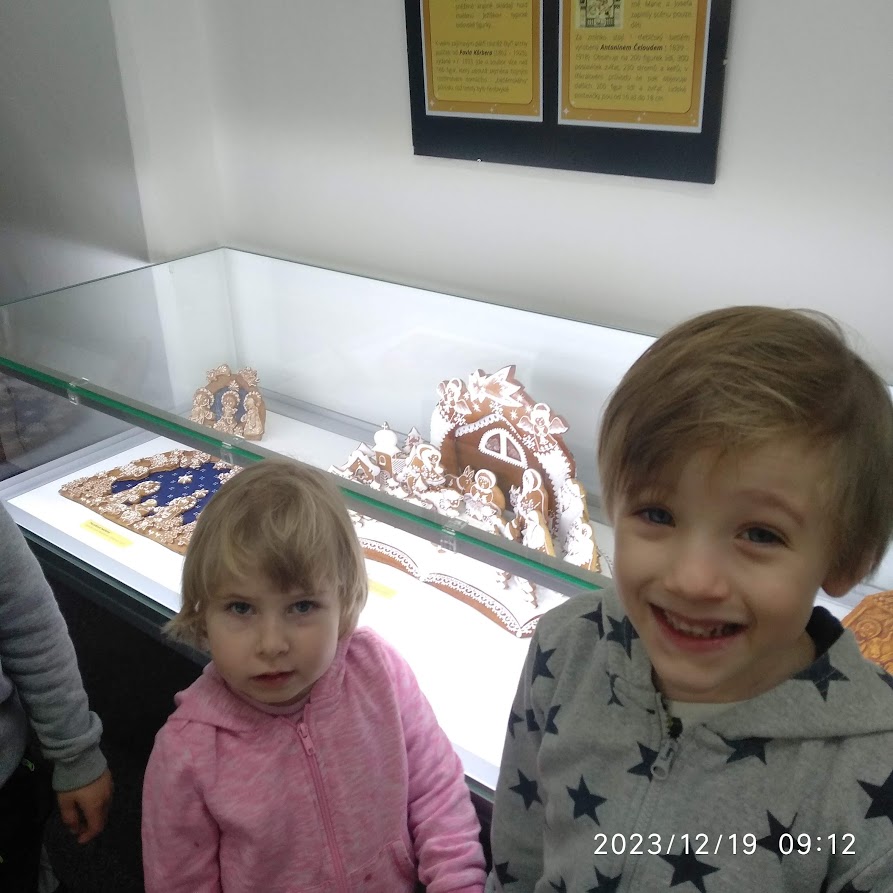IMG_20231219_091231